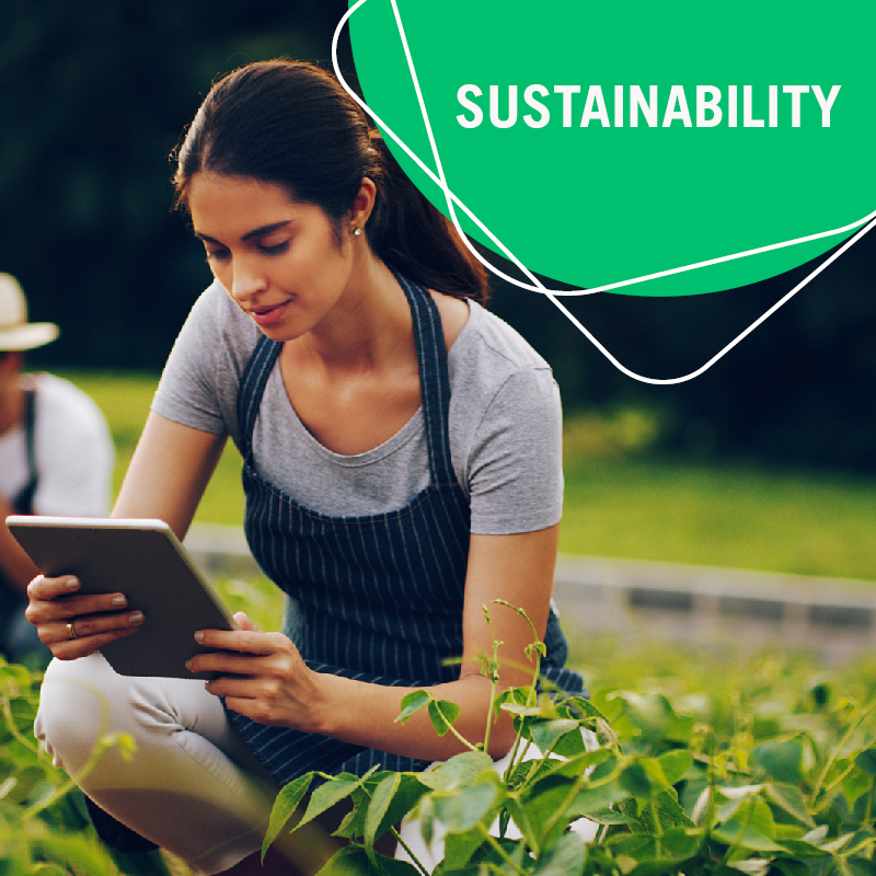 Sustainability Icon